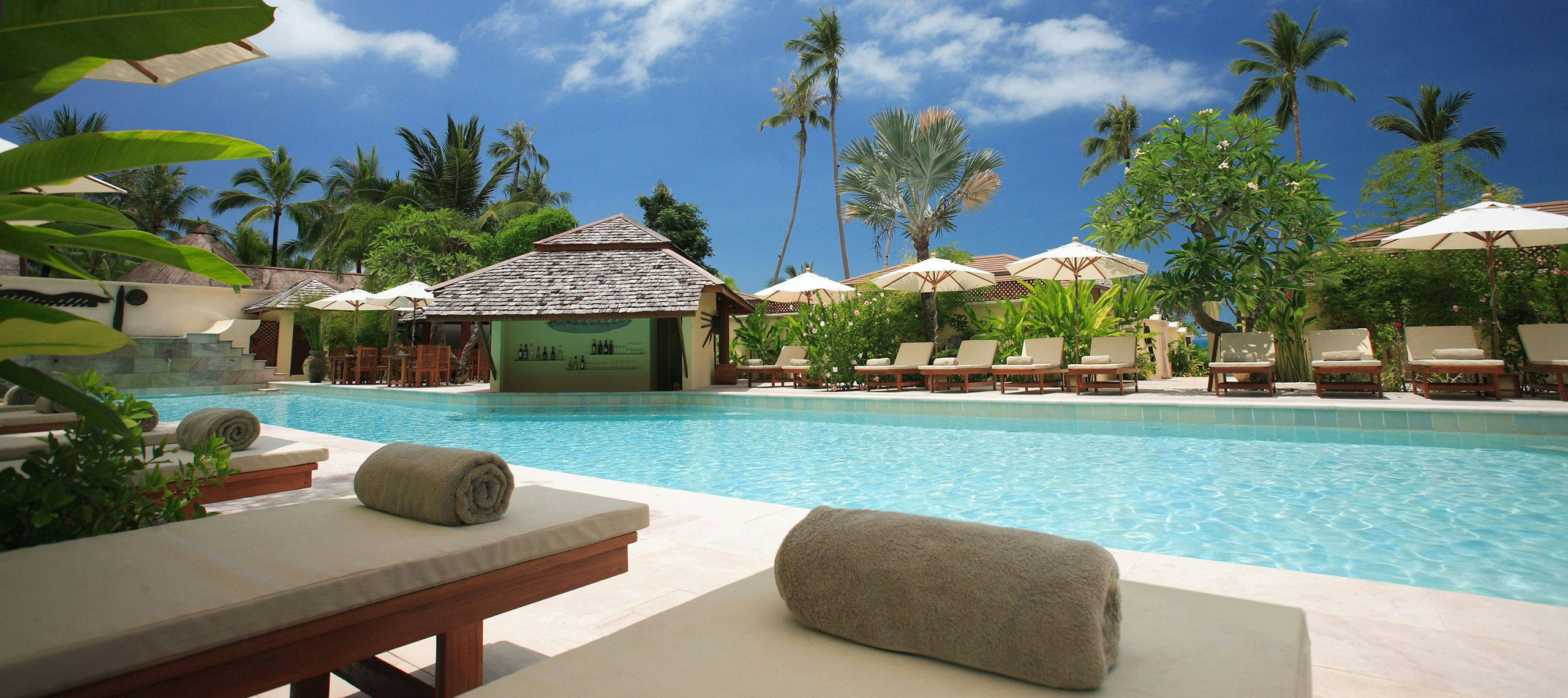 Excellente travel × Bearleaders