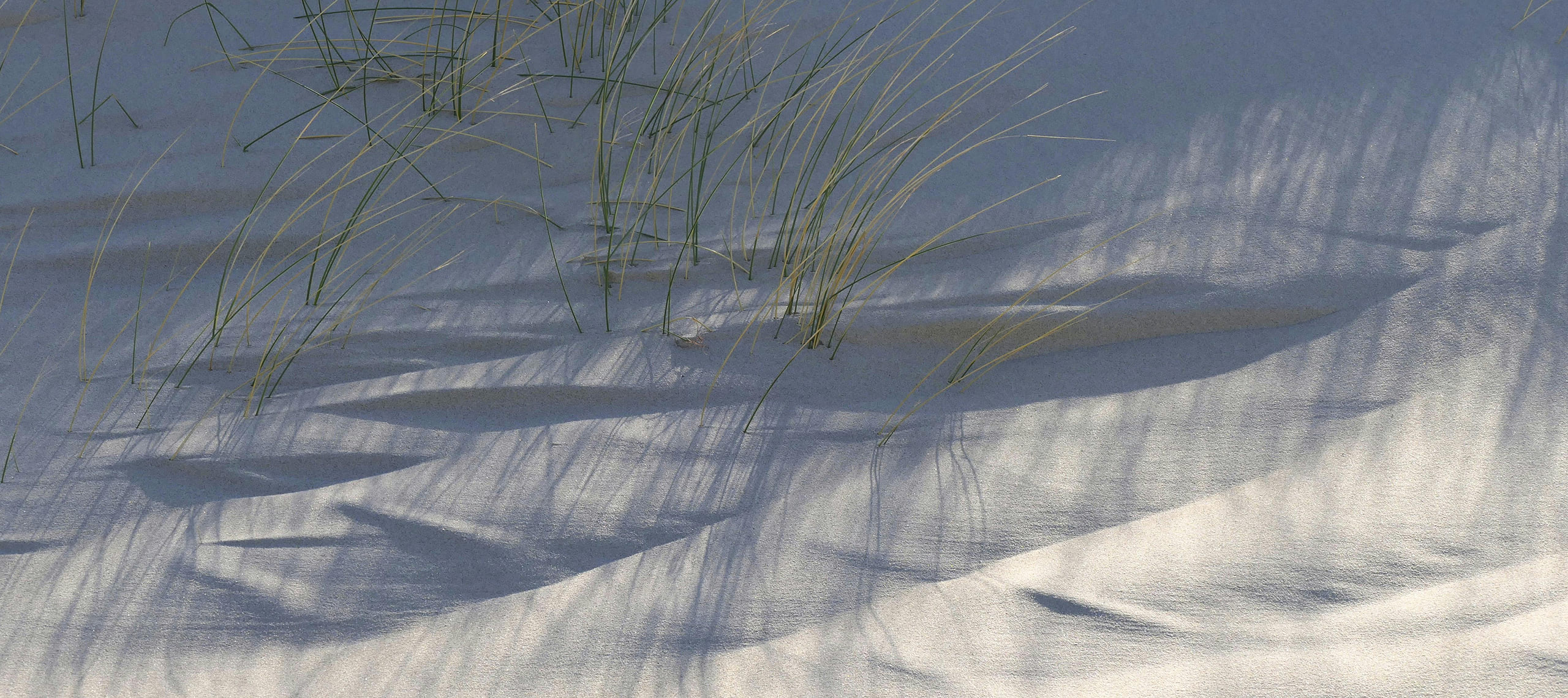 Een dag vol charme in Zeeland