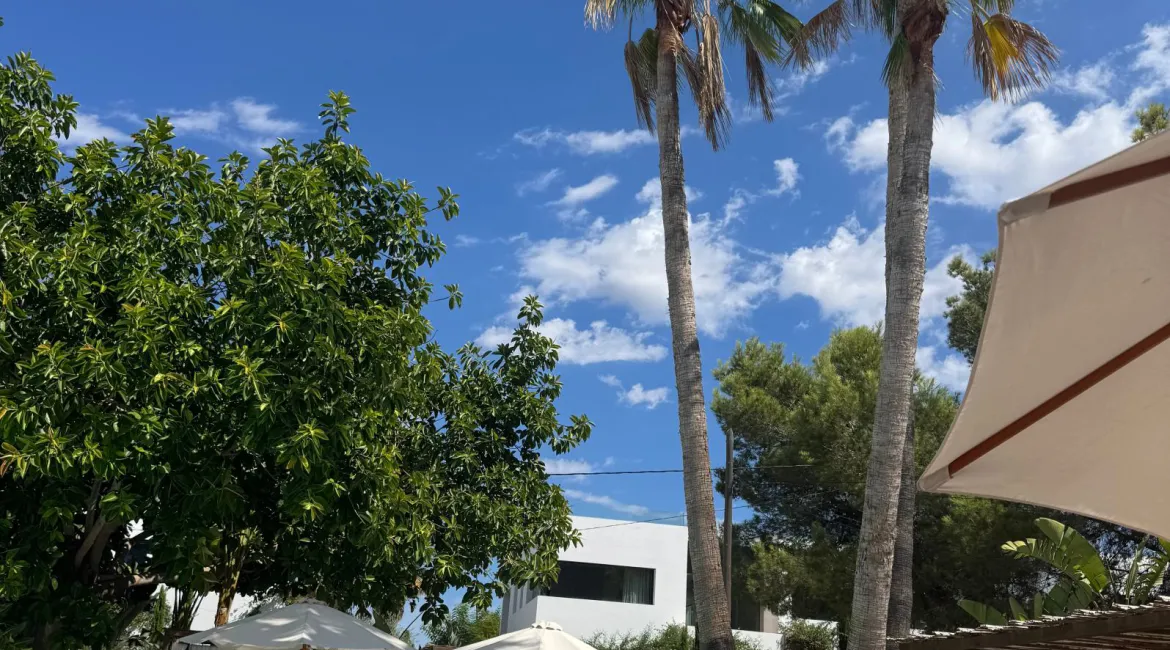 Ibiza – ontspannen luxe bij het zwembad tussen palmbomen en zomerse rust