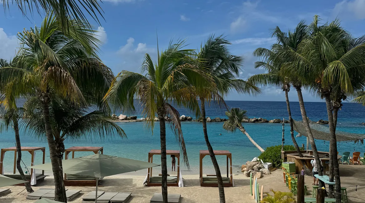 Curaçao – uitzicht over palmbomen en azuurblauwe zee vanaf het strand