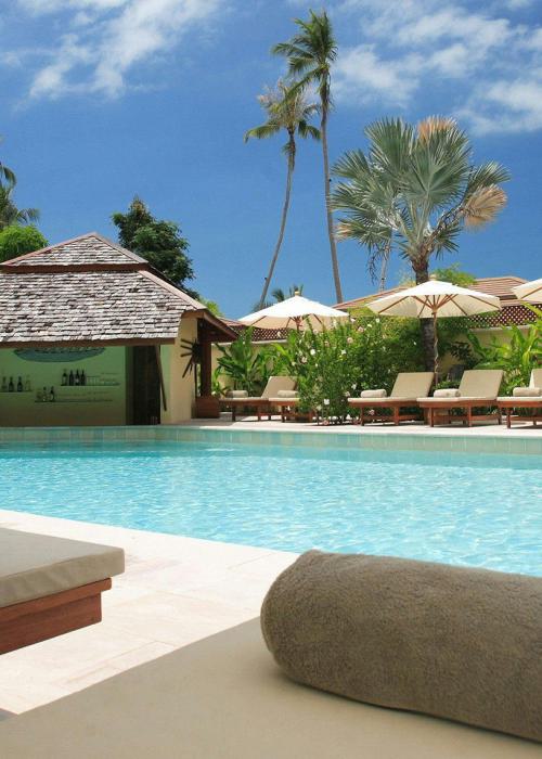 Excellente x Bearleaders